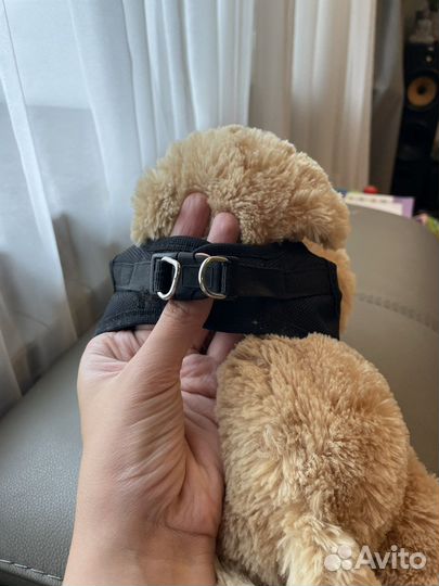 Шлейка для собаки S