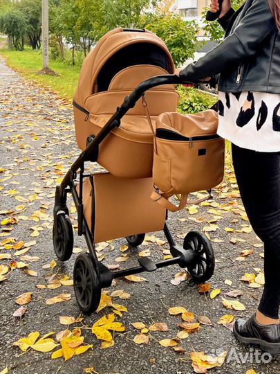 Коляска anex e type 2 в 1