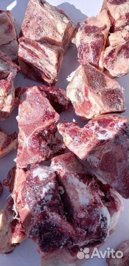 Корм для собак