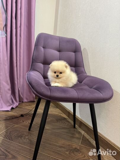 Мини куколка