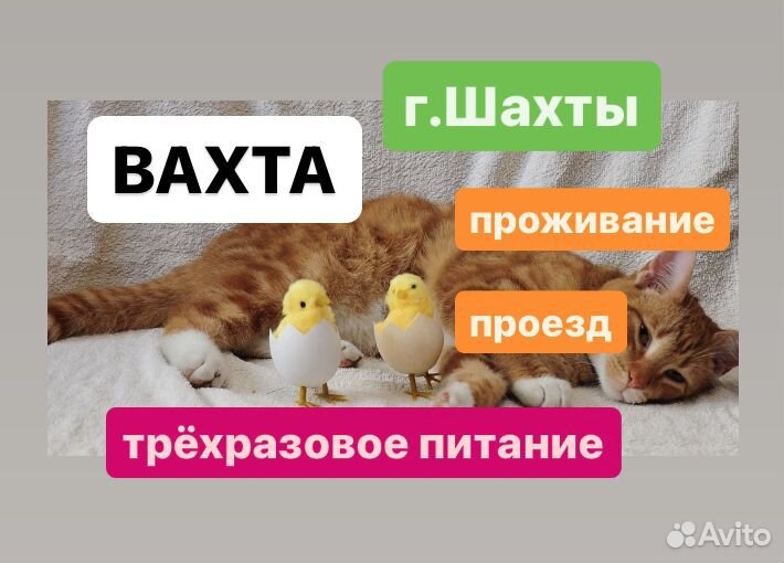 Работа вахтой Упаковщиками.Оплатим дорогу