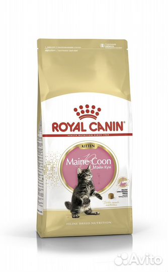 Для майн кунов котят