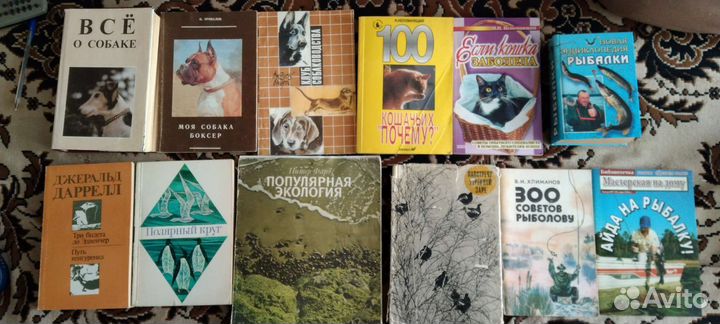 Охота, рыбалка, собаководство