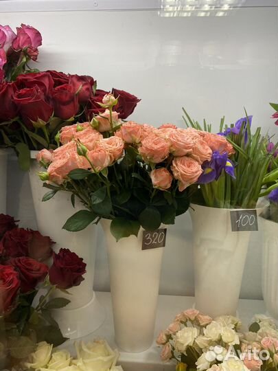 Букеты,цветы,гелиевые шары, 1 сентября