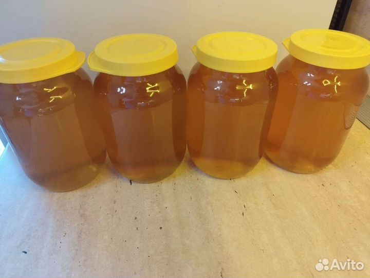 Мёд цветочный с рапсом. Бесплатная доставка