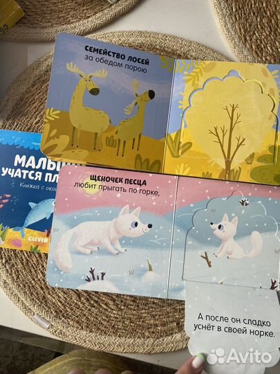 Книжки с окошками для малышей,3шт