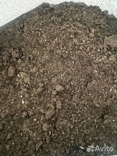 Шрот рапсовый 39%