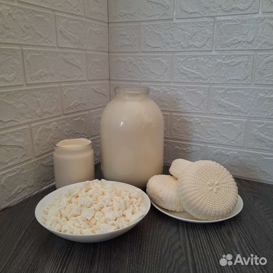 Молоко, творог, сливки, сыр