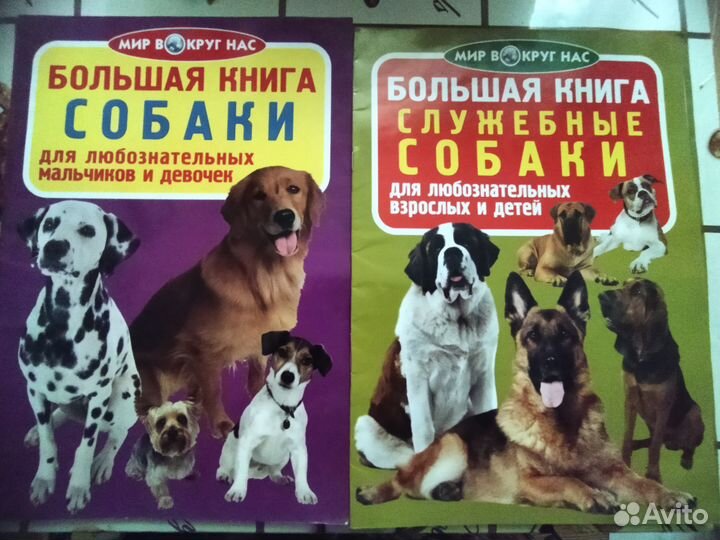 Книга для любознательных девочек и мальчиков