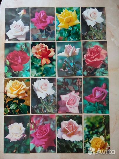 Открытки чсср и ссср. Розы