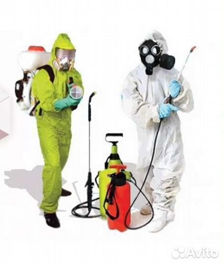 Уничтожение тараканов клопов и грызунов