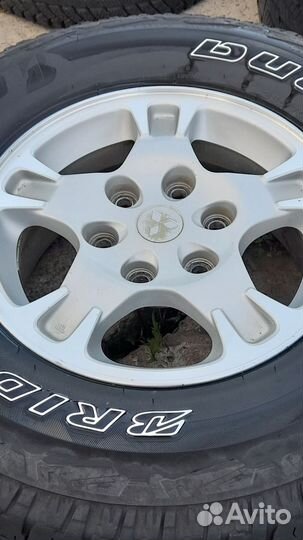Akuret Hi-Run Bias 5.10/8.5 R12C