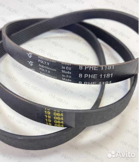 Ремень 1181 H8 Hutchinson BLH116UN