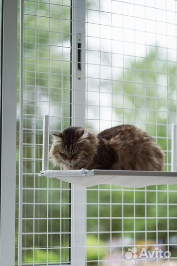 Антикошка маталлическая решетка защита окон