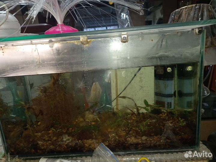 Аквариум с тумбой фильтром готовый