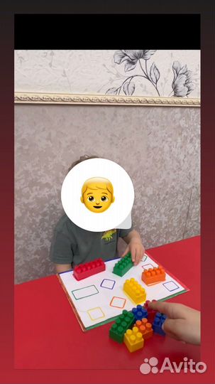 Дефектолог /Специальный Психолог