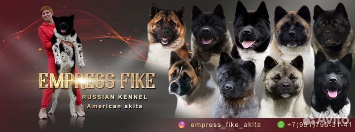 Шикарные от емпресс фике