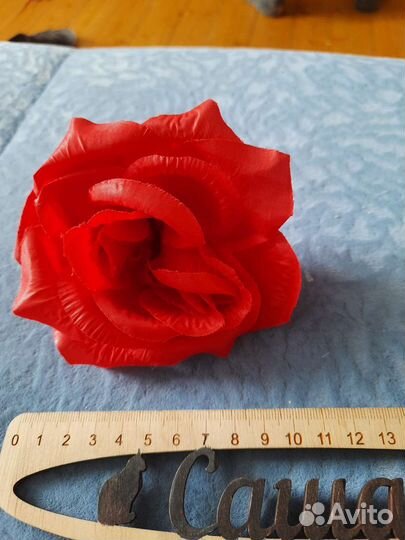 Голова розы