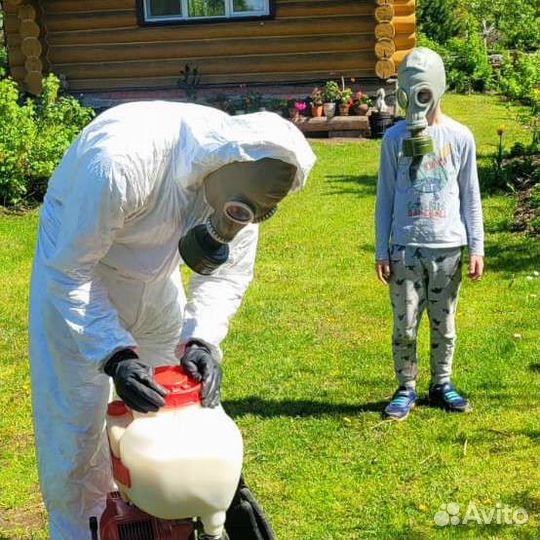 Обработка квартир домов и участков