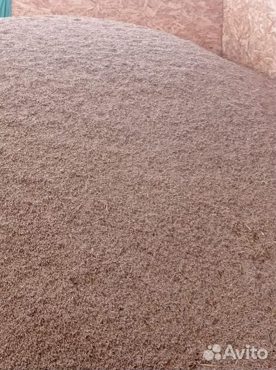 Продам ячмень, овёс,пшеницу