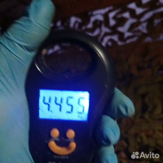 Кролики мясных пород