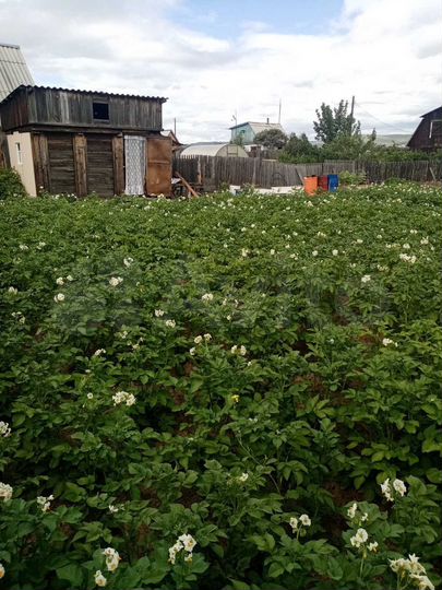 Участок 6 сот. (СНТ, ДНП)