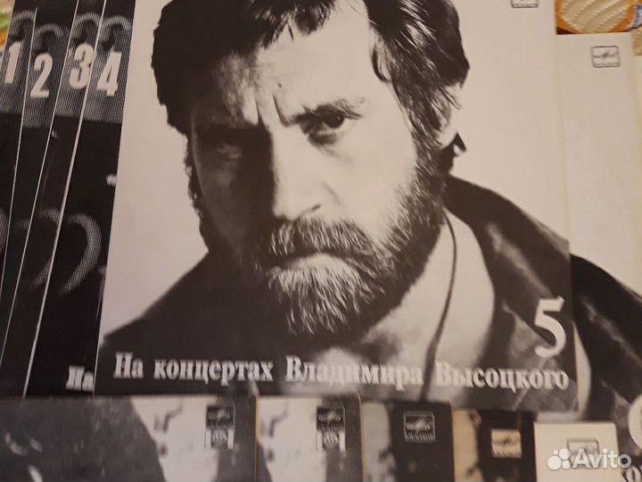 На концертах Владимира Высоцкого