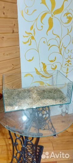 Аквариум, Террариум