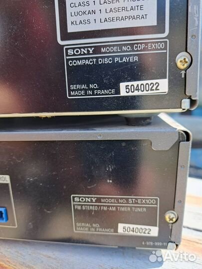 Sony ex100