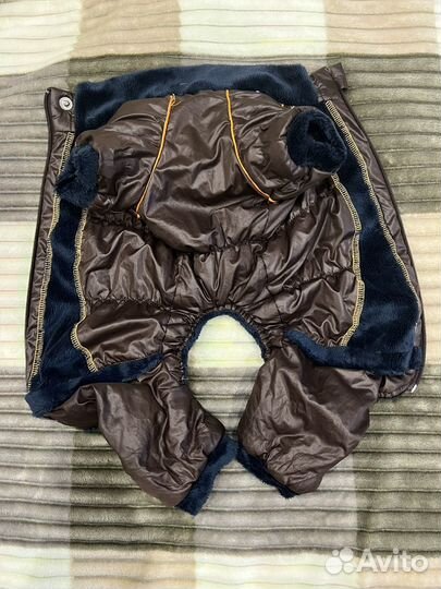 Комбинезон на маленькую собаку демисезон