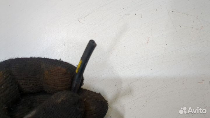 Ступица (кулак, цапфа) Ford Transit, 2011