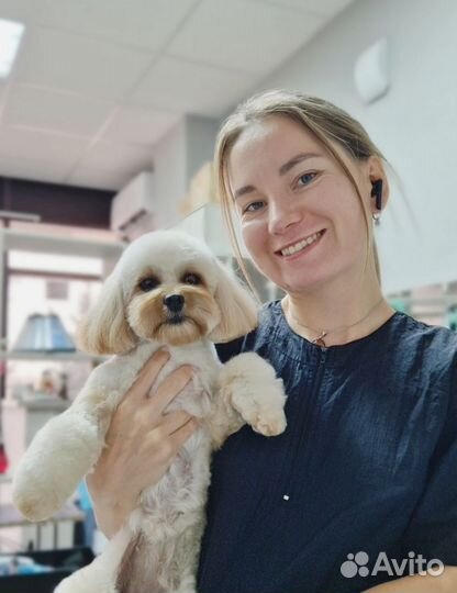 Груминг. Стрижка собак, кошек