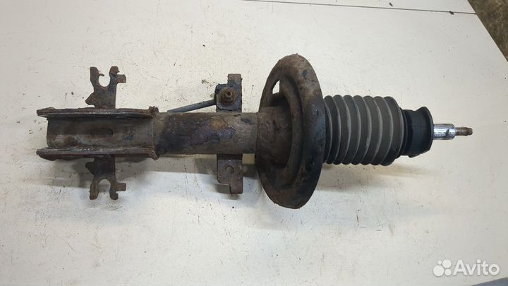 Амортизатор подвески Renault Laguna 3 2009, 2009