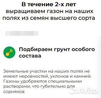 Рулонный газон класса люкс