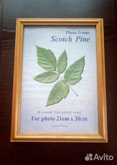 Рамки для фотографий