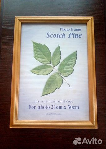 Рамки для фотографий