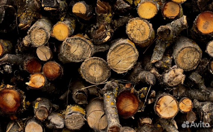 Дрова без гнили