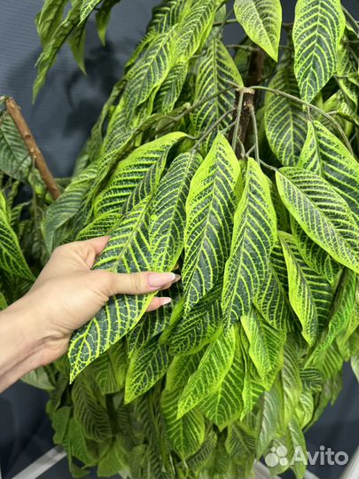 Искусственное дерево пальма