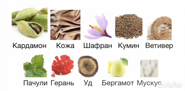 Memo Paris African Leather