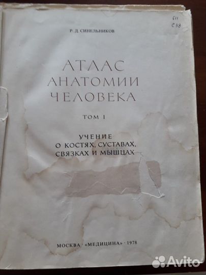2 тома атласа анатомии Синельникова