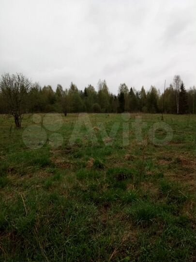 Участок 30 сот. (ИЖС)