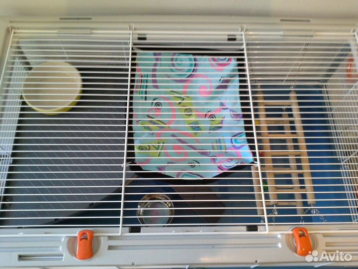 Клетки большие