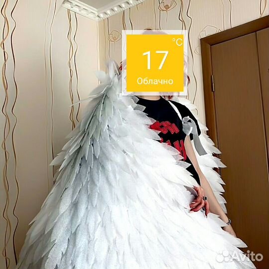 Крылья ангела