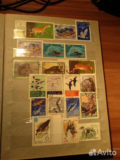 Марки СССР: города и животные 60-70 годы, разные