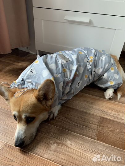 Комбинезон для корги