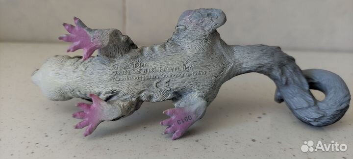 Safari сахарный поссум