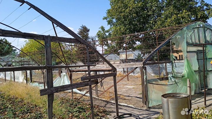 Теплица балаган