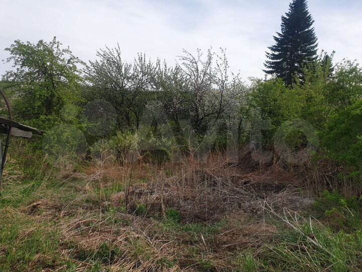 Участок 6 сот. (СНТ, ДНП)