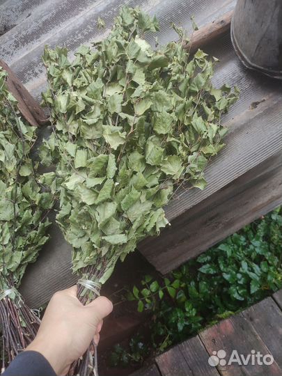 Банные веники