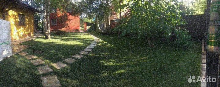 Рулонный газон/продажа/укладка